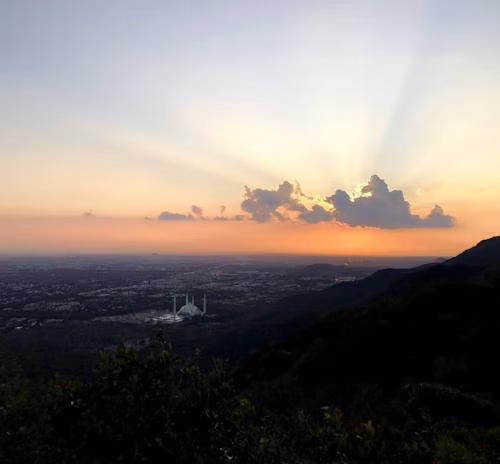 photo-1586954451196-15d52eb4fc70